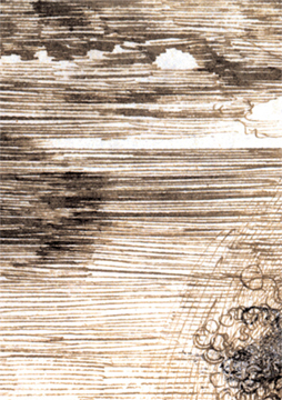 The horizon in Dürer's Apollo and Diana drawing
